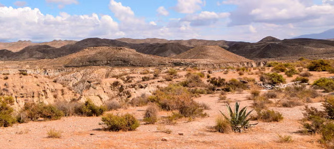 Tabernas