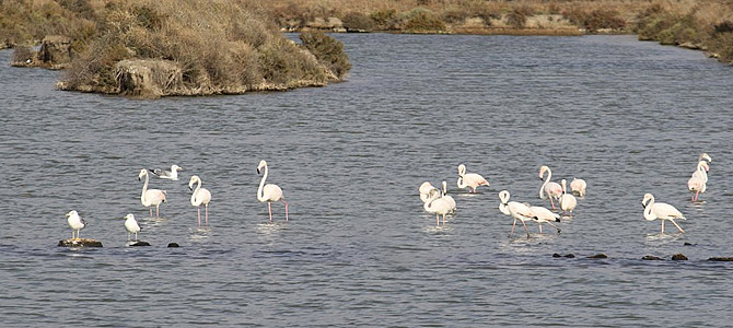 Naturpark der Bucht von Cádiz